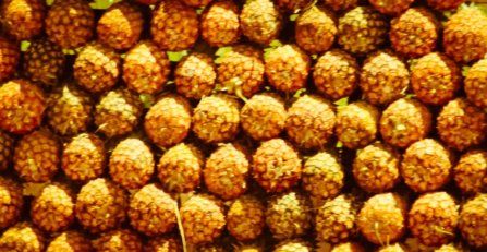 402360_3034462270344_1274187533_n