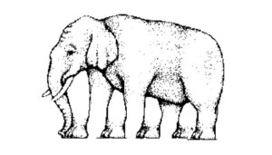 ilusao-de-otica-continuidade-1357941015097_876x500