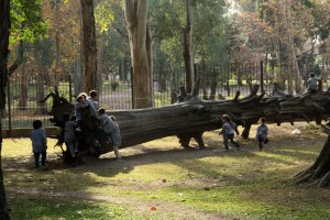 Museo Juan Manuel Blanes