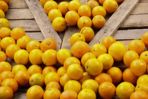 Fruta_Mercado_Montevideo