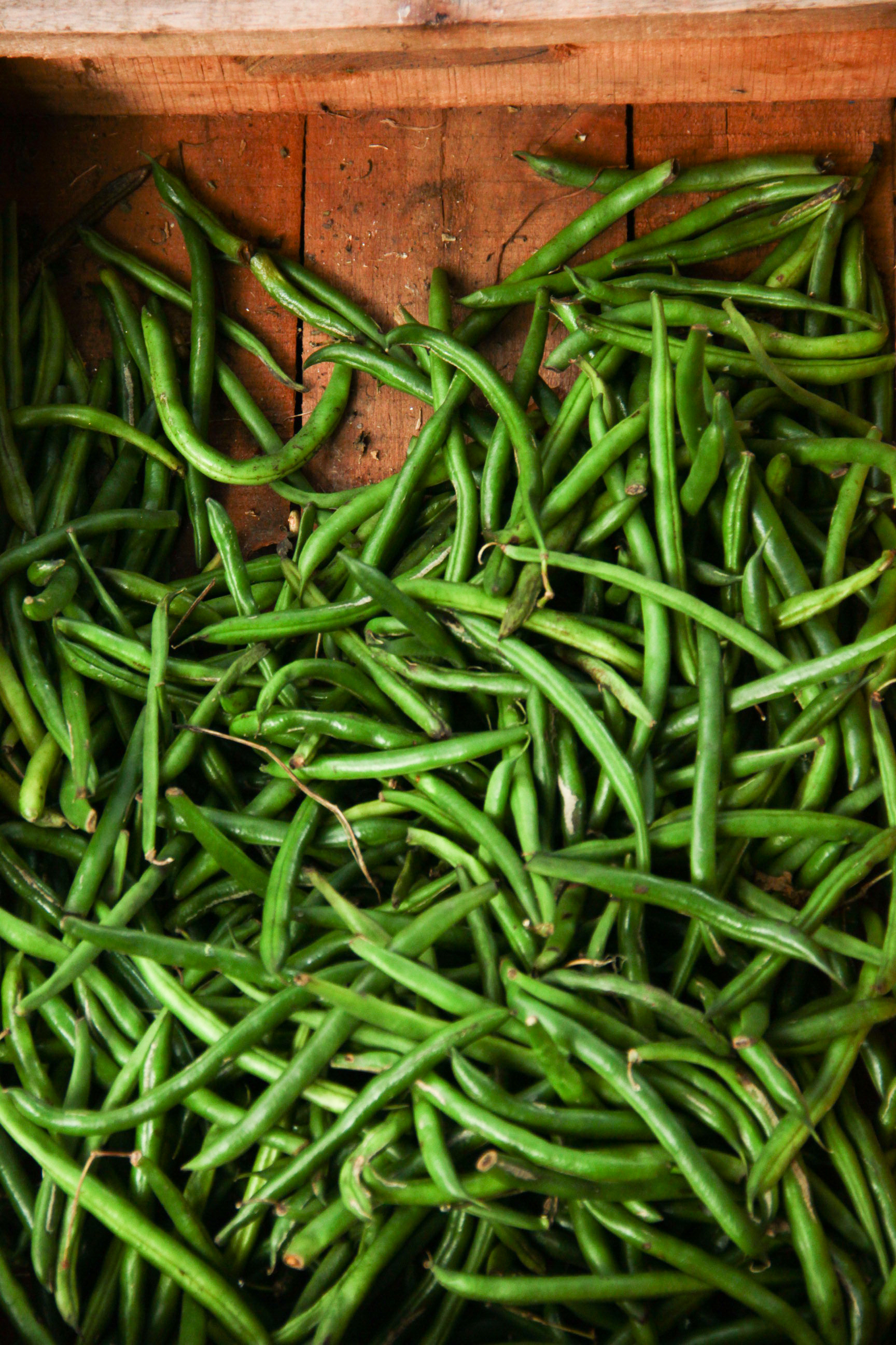 Fruta_Mercado_Montevideo